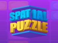 Spatial Puzzle 3D Game