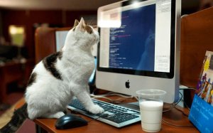 Cat Memory Match Puzzle Game