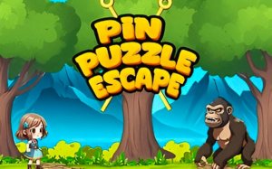 Pin Puzzle Escape: Brain Teaser Game