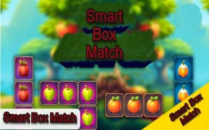 Smart Box Match Puzzle Game